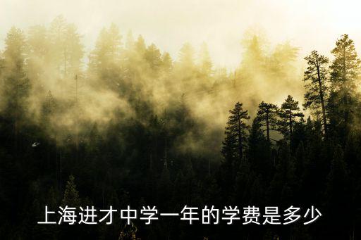 上海進才中學一年的學費是多少