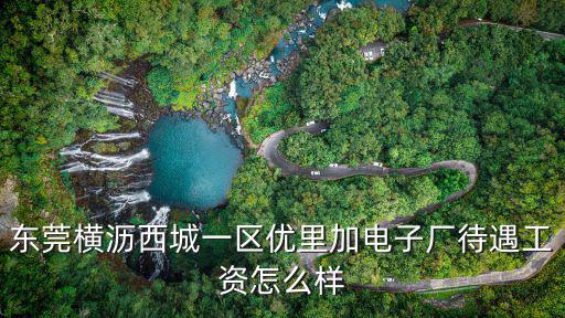 東莞橫瀝西城一區(qū)優(yōu)里加電子廠待遇工資怎么樣