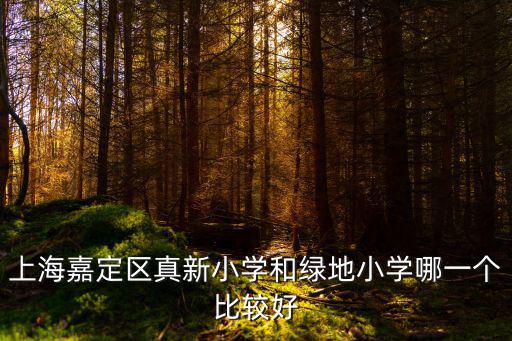 上海嘉定區真新小學和綠地小學哪一個比較好