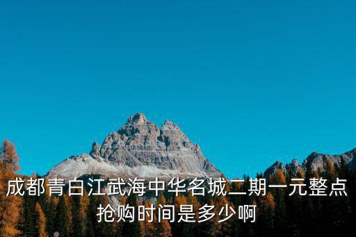 成都青白江武海中華名城二期一元整點搶購時間是多少啊