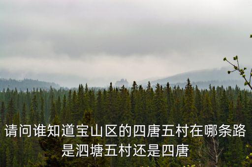 請問誰知道寶山區的四唐五村在哪條路是泗塘五村還是四唐