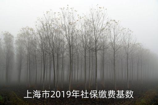 上海市2019年社保繳納標準，上海市2019年社保繳費基數