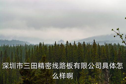 深圳市三田精密線路板有限公司具體怎么樣啊