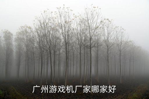 廣州電玩游藝機廠家，廣州游戲機廠家哪家好