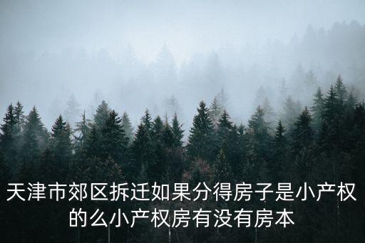 天津市郊區(qū)拆遷如果分得房子是小產(chǎn)權(quán)的么小產(chǎn)權(quán)房有沒(méi)有房本