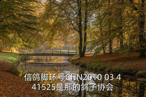 四川成都市信鴿協會03，信鴿腳環號CHN2010 03 441525是那的鴿子協會