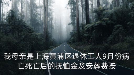 我母親是上海黃浦區退休工人9月份病亡死亡后的撫恤金及安葬費按