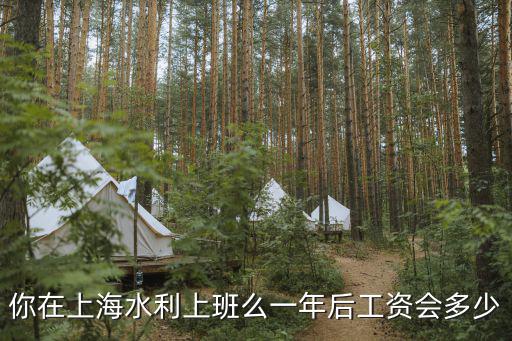 你在上海水利上班么一年后工資會多少
