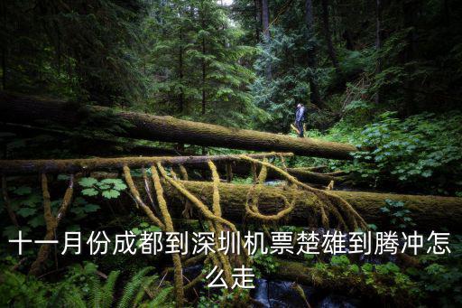 十一月份成都到深圳機(jī)票楚雄到騰沖怎么走