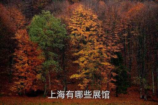 上海市普陀區安全教育館，上海死亡體驗館在那里