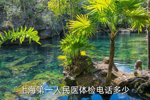 上海第一人民醫體檢電話多少