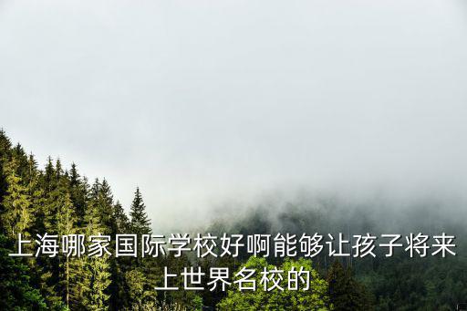 上海哪家國際學校好啊能夠讓孩子將來上世界名校的