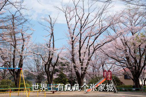 世界上有幾幾個張家城