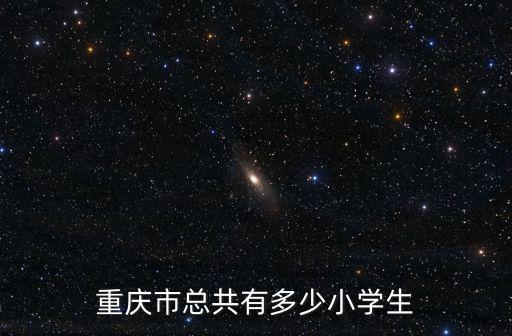 重慶市總共有多少小學生