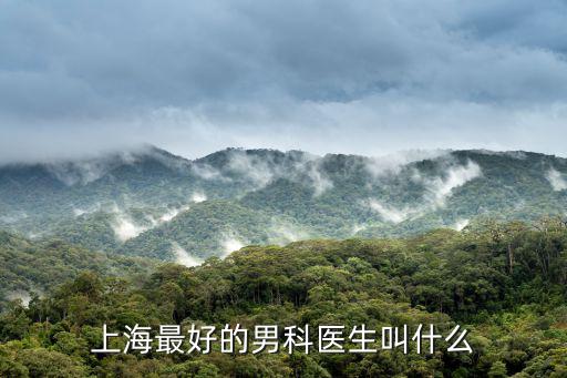 上海最好的男科醫(yī)生叫什么