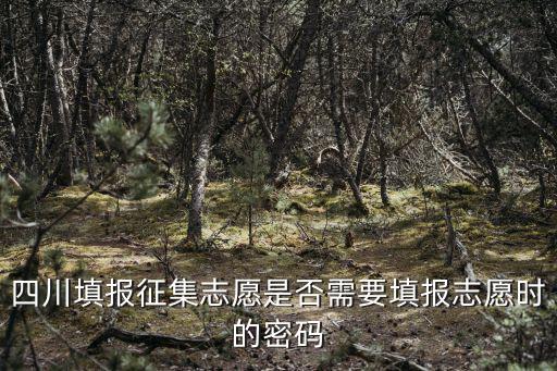 四川填報征集志愿是否需要填報志愿時的密碼