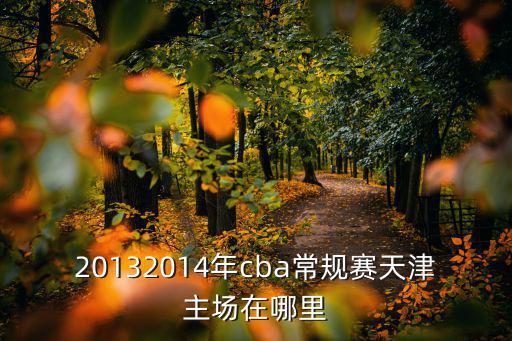 20132014年cba常規賽天津主場在哪里