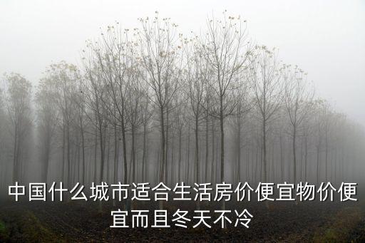 中國什么城市適合生活房價便宜物價便宜而且冬天不冷