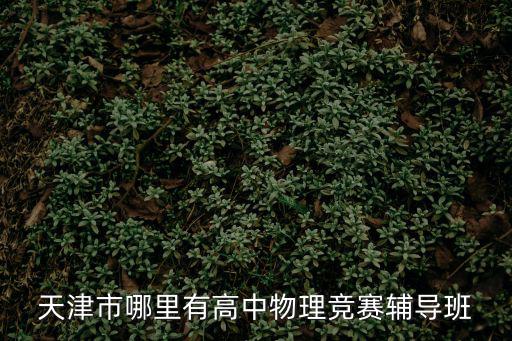天津市哪里有高中物理競賽輔導(dǎo)班