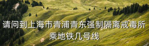 上海市青東戒毒所  vr，從嘉定北站到上海第三強制隔離戒毒所乘哪路車