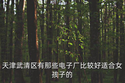 天津市武清區博朗電子，天津武清區有那些電子廠比較好適合女孩子的