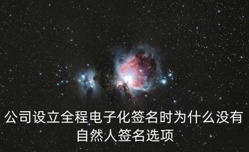 公司設立全程電子化簽名時為什么沒有自然人簽名選項