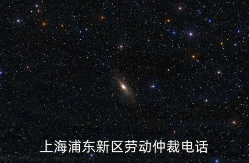 上海浦東新區勞動仲裁電話