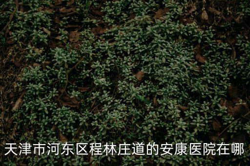 天津市河?xùn)|區(qū)程林莊道的安康醫(yī)院在哪