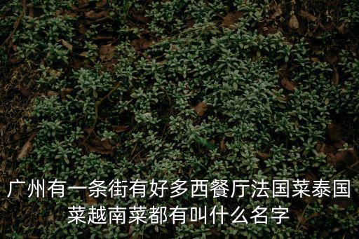 廣州有一條街有好多西餐廳法國菜泰國菜越南菜都有叫什么名字