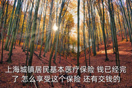 上海城鎮居民基本醫療保險 錢已經完了 怎么享受這個保險 還有交錢的