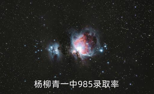 楊柳青一中985錄取率
