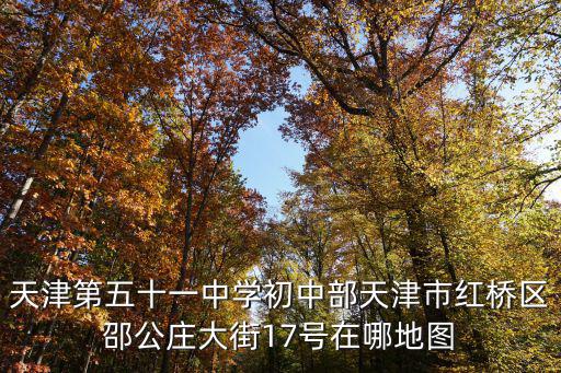 天津第五十一中學初中部天津市紅橋區邵公莊大街17號在哪地圖