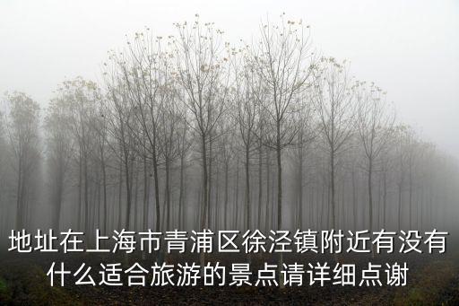 地址在上海市青浦區(qū)徐涇鎮(zhèn)附近有沒有什么適合旅游的景點(diǎn)請?jiān)敿?xì)點(diǎn)謝