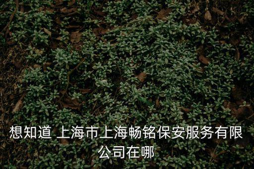 想知道 上海市上海暢銘保安服務有限公司在哪