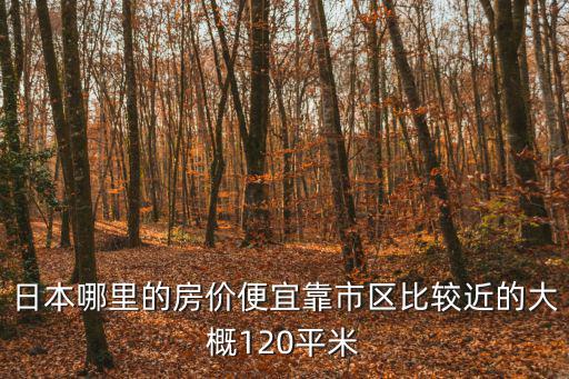 日本哪里的房價便宜靠市區比較近的大概120平米