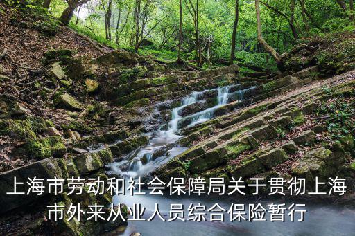 上海市勞動和社會保障局關于貫徹上海市外來從業人員綜合保險暫行