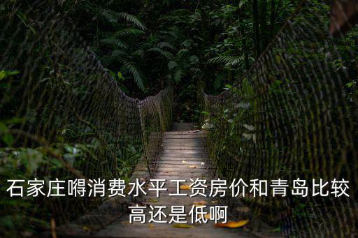 石家莊嘚消費水平工資房價和青島比較高還是低啊