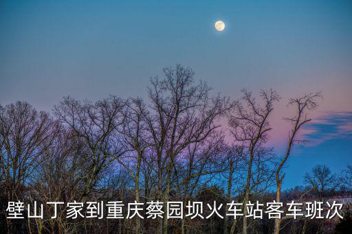 壁山丁家到重慶蔡園壩火車站客車班次