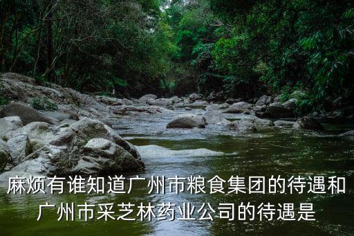 麻煩有誰知道廣州市糧食集團的待遇和廣州市采芝林藥業公司的待遇是