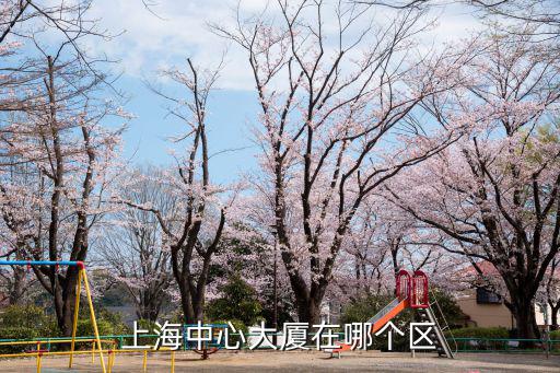 上海中心大廈簡介，上海中心大廈有多高