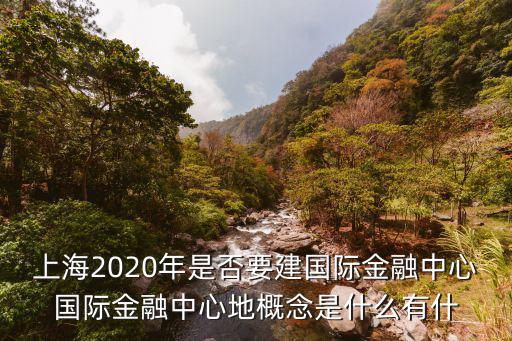 上海2020年是否要建國際金融中心國際金融中心地概念是什么有什