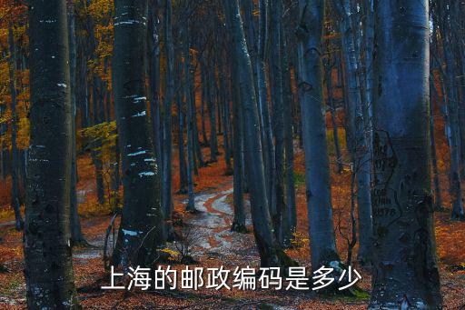 上海的郵政編碼是多少