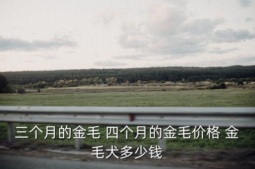 4個月的金毛能賣多少錢，4個月的金毛可以賣多少不知道純不純但是品相好是個母狗