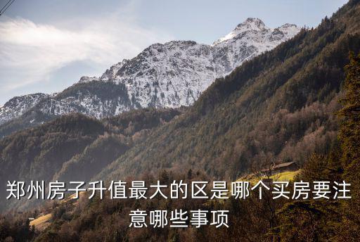 鄭州房子升值最大的區是哪個買房要注意哪些事項