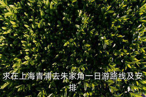 求在上海青浦去朱家角一日游路線及安排