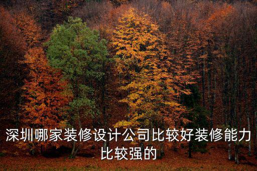 深圳哪家裝修設計公司比較好裝修能力比較強的