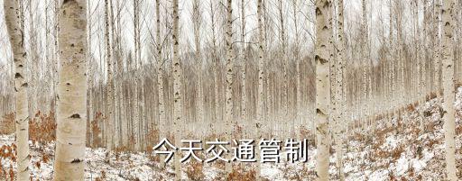 今天交通管制