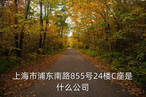 上海市浦東南路855號(hào)24樓C座是什么公司