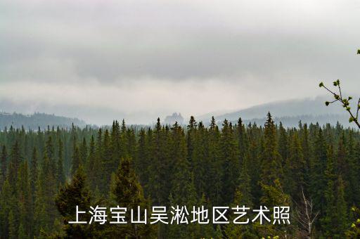 上海寶山吳淞地區藝術照
