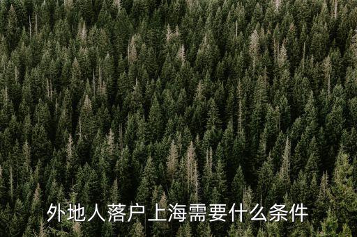 外地人落戶上海需要什么條件